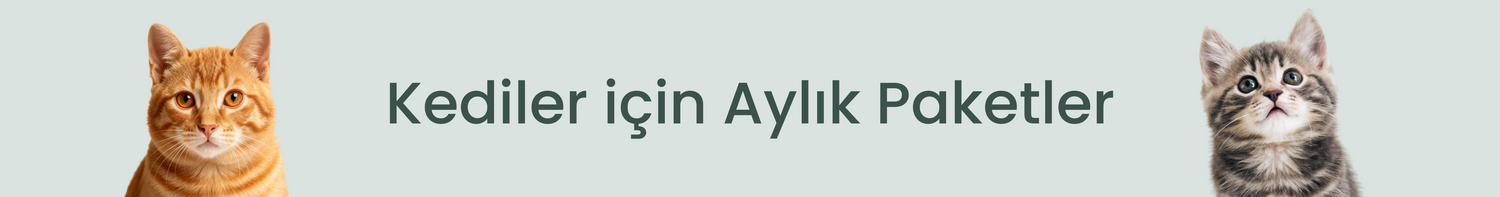 Kediler İçin Aylık Paketler