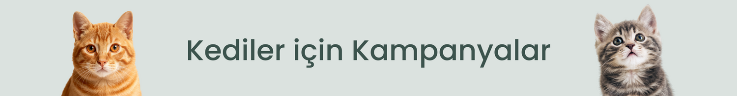 Kediler İçin Kampanyalar