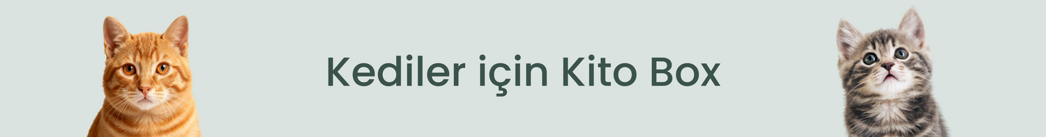 Kediler İçin Kito Box