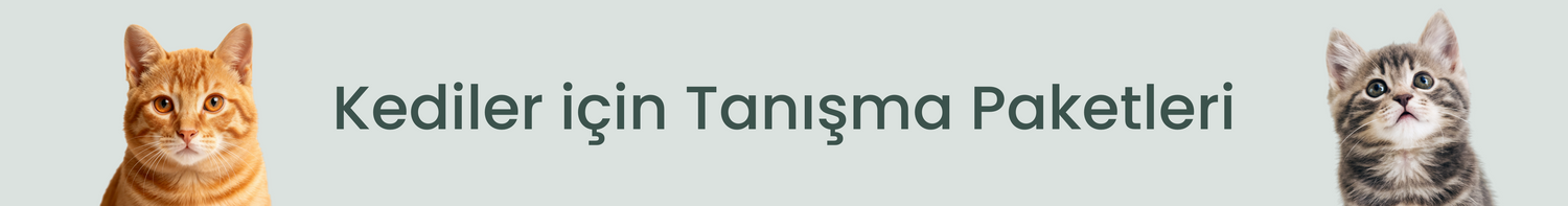 Kediler İçin Tanışma Paketi