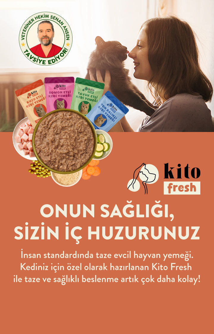 Kito