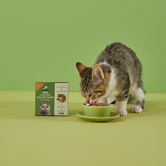 Tavuk Etli Kedi Yemeği