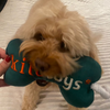 Kito Toys Kemik Peluş Köpek Oyuncağı