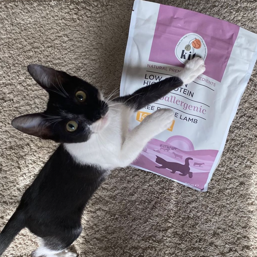 Kitten Food with Grass-Fed Lamb 2 kg