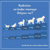 3 adet 2 kg kısır kedi maması