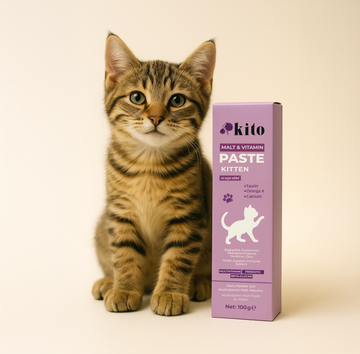 Yavru Kediler İçin Malt Macunu