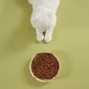 Kitten Food with Grass-Fed Lamb 2 kg