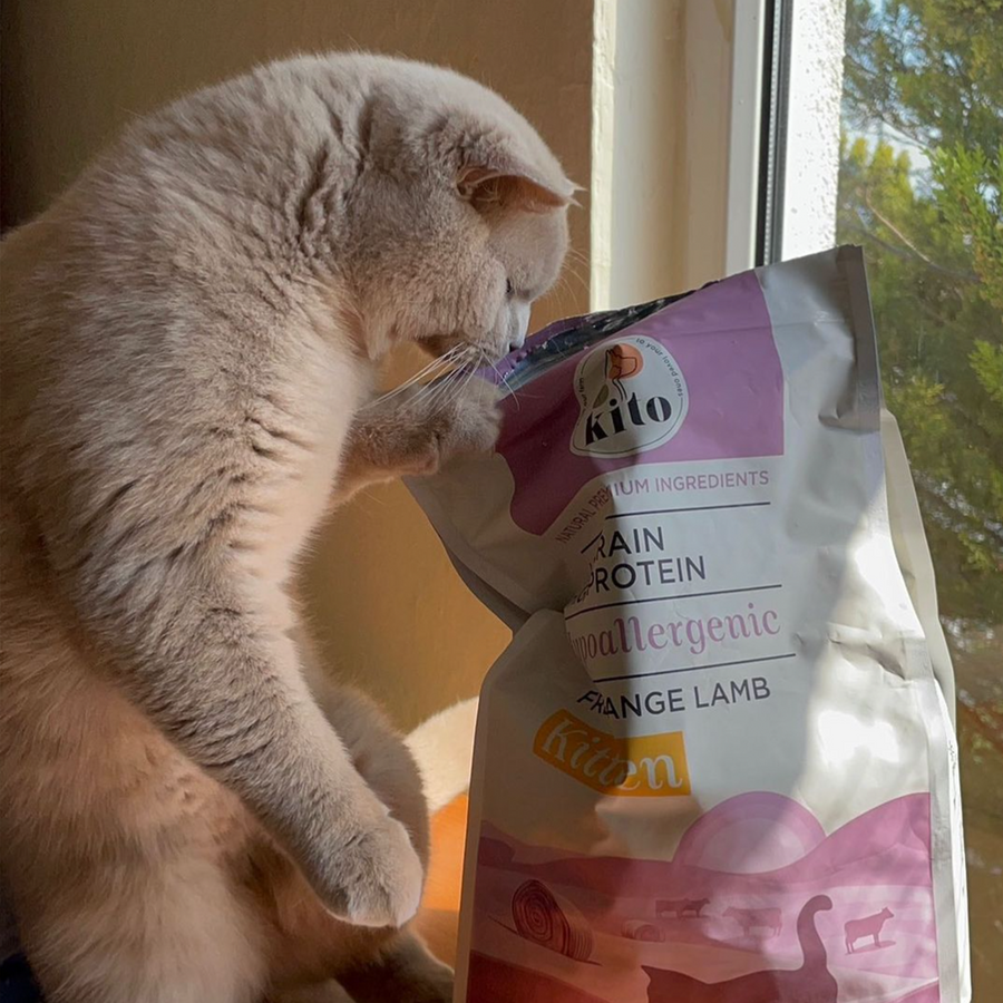 3 pieces of 2 kg kitten food