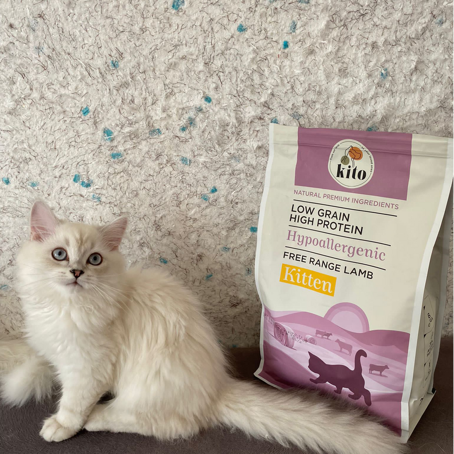 Yavru Kedi Maması 2 KG + Ton Balıklı Kedi Kito Fresh X 6