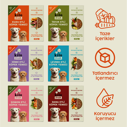 Kito Fresh Köpekler için %100 Taze İçerikli Mama Tanışma Paketi