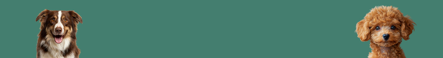 Köpek Koleksiyon Banner