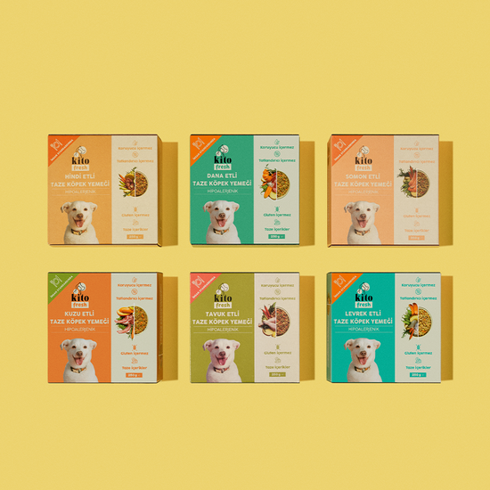 Dana Etli Köpek Yemeği