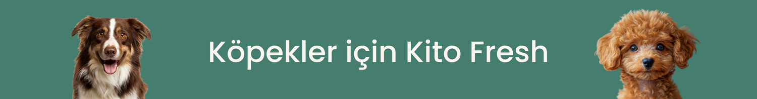 Köpekler İçin Kito Fresh