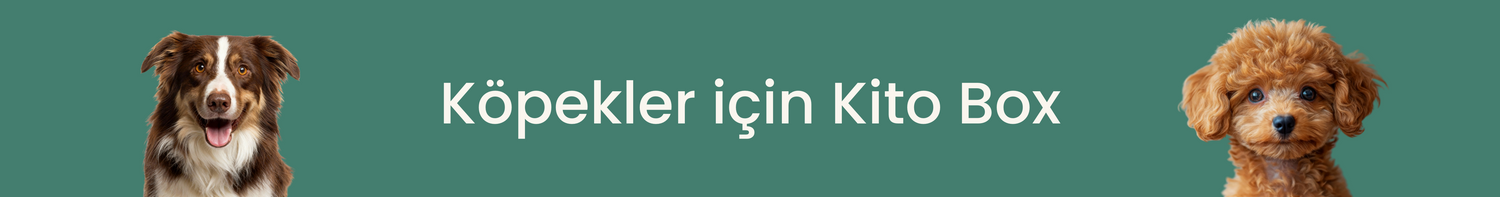 Köpekler İçin Kito Box