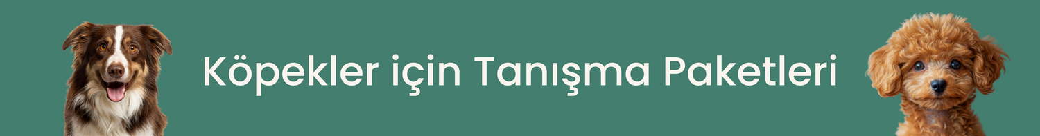 Köpekler İçin Tanışma Paketleri