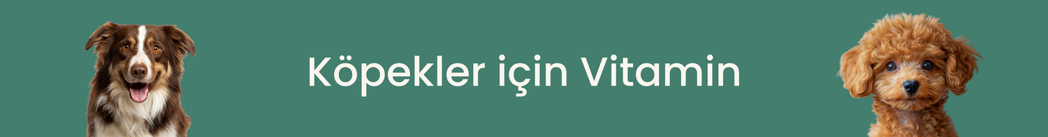 Köpekler İçin Vitamin