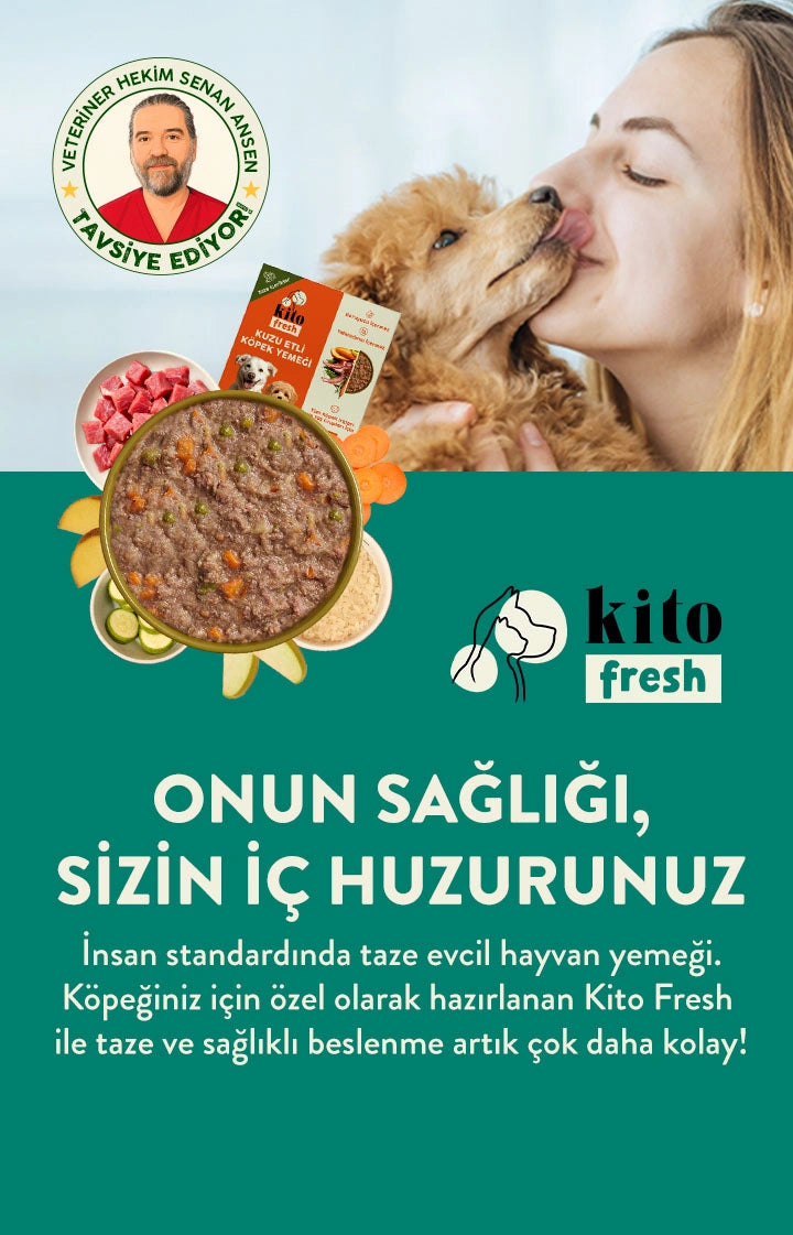 Kito