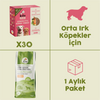 30 Adet Kito Fresh Somon Etli Köpek Yemeği %100 Taze İçerikli Mama+ 7 kg Yetişkin Köpek Maması