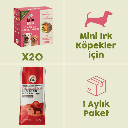 20 Adet Kito Fresh Somon Etli Köpek Yemeği %100 Taze İçerikli Mama + 2,5 kg  Yetişkin Mini Irk Köpek Maması