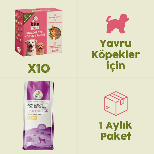 10 Adet Kito Fresh Somon Etli Köpek Yemeği %100 Taze İçerikli Mama + 2,5 kg Yavru Köpek Maması