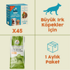 45 Adet Kito Fresh Levrek Etli Köpek Yemeği %100 Taze İçerikli Mama+ 15 kg Yetişkin Köpek Maması