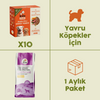 10 Adet Kito Fresh Kuzu Etli Köpek Yemeği %100 Taze İçerikli Mama + 2,5 kg Yavru Köpek Maması