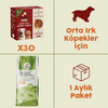 30 Adet Kito Fresh Dana Etli Köpek Yemeği %100 Taze İçerikli Mama+ 7 kg Yetişkin Köpek Maması