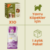 10 Adet Kito Fresh Tavuk Etli Köpek Yemeği %100 Taze İçerikli Mama + 2,5 kg Yavru Köpek Maması
