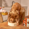 Kito Fresh Kuzu Etli Köpek Yemeği %100 Taze İçerikli Mama 250 gr