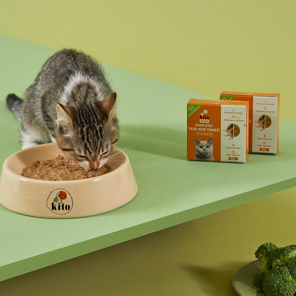 Kısır Kedi Maması ve Kuzu Etli Kedi Yemeği