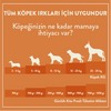3 Günde 1 Sevindir Paketi Kito Fresh Kuzu Etli Köpek Yemeği 250 gr (10 Adet)