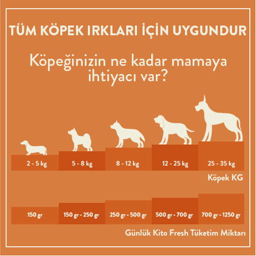 3 Günde 1 Sevindir Paketi Kito Fresh Kuzu Etli Köpek Yemeği 250 gr (10 Adet)