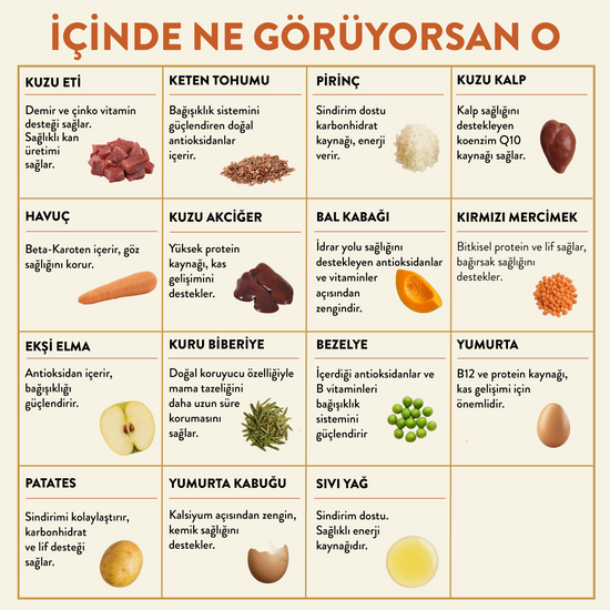 Kuzu Etli Taze Köpek Yemeği İçindekiler