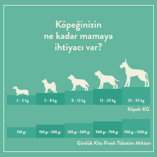 Puppy Food 2,5 KG + Kito Fresh Dog Food with Seabass X 6