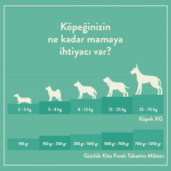 Günlük Kito Fresh Tüketim Miktarı