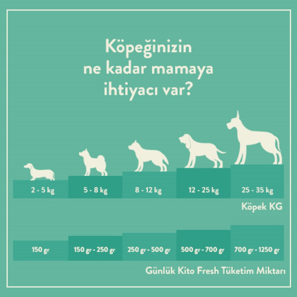 Günlük Kito Fresh Tüketim Miktarı