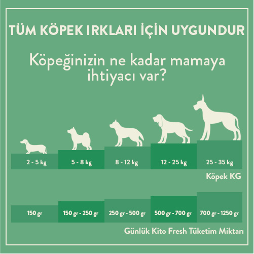 3 Günde 1 Sevindir Paketi Kito Fresh Dana Etli Köpek Yemeği 250 gr (10 Adet)
