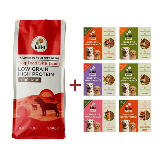 Adult Mini Dog Food 2,5 KG + Kito Fresh Introduction Package