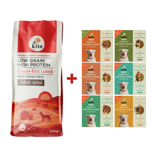 Kuzu Etli Yetişkin Mini Irk Köpek Maması 2.5 KG + Kito Fresh %100 Taze İçerikli Mama Tanışma Paketi