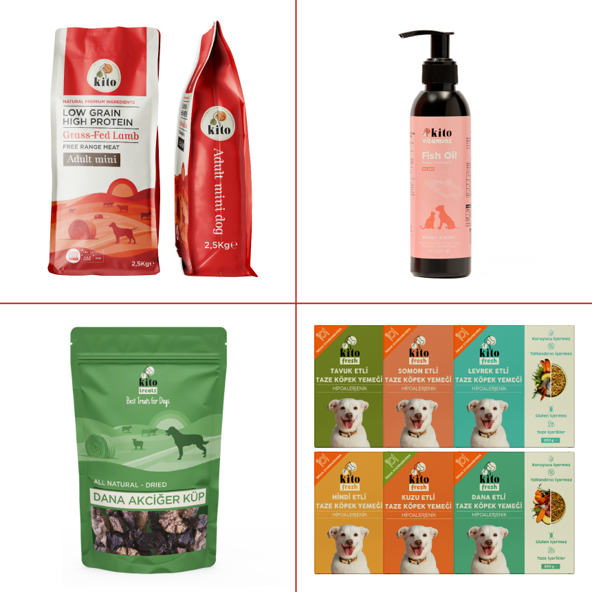 Kito Adult Mini Introductions Package