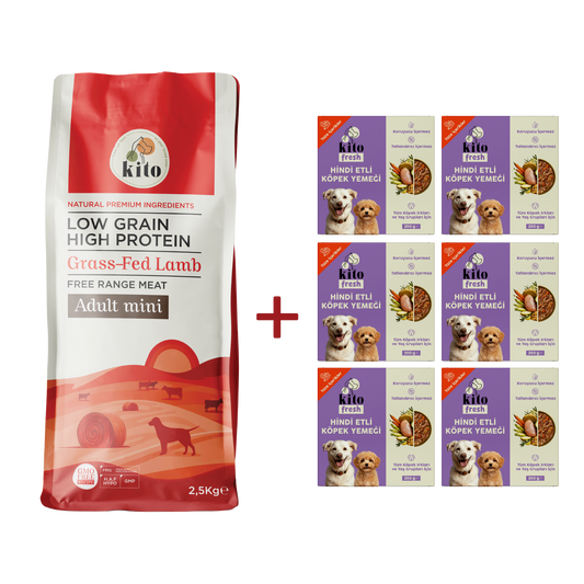 Kuzu Etli Yetişkin Mini Irk Köpek Maması 2.5 KG + 6 Adet Kito Fresh Hindi Etli %100 Taze İçerikli Mama