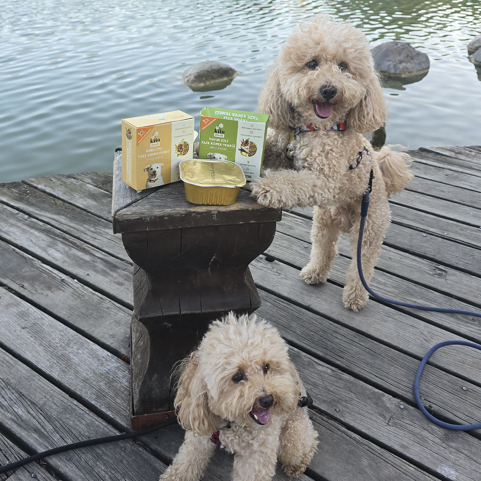 Tavuk Etli Taze Köpek Yemeği