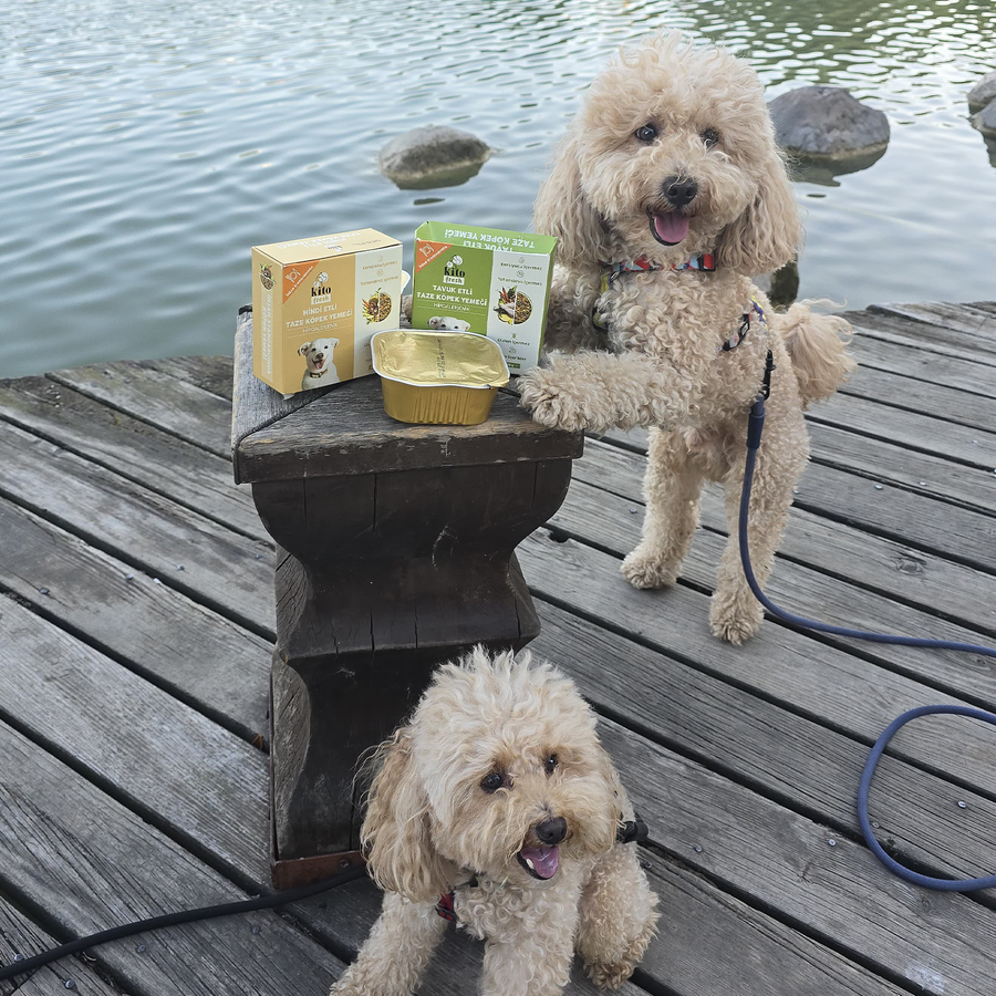 Tavuk Etli Köpek Kito Fresh X 6 (1,5 kg)