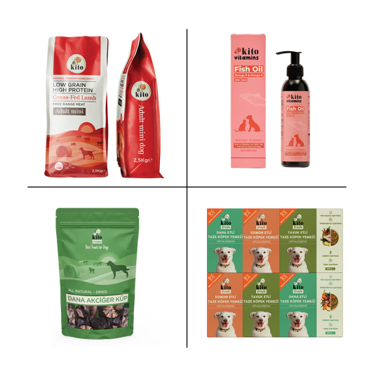 Kito Mini Irk Tanışma Paketi