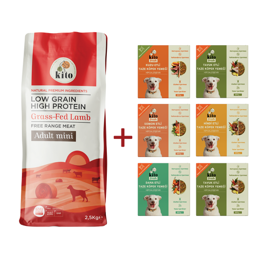 Kuzu Etli Yetişkin Mini Irk Köpek Maması 2.5 KG + Kito Fresh %100 Taze İçerikli Mama Tanışma Paketi
