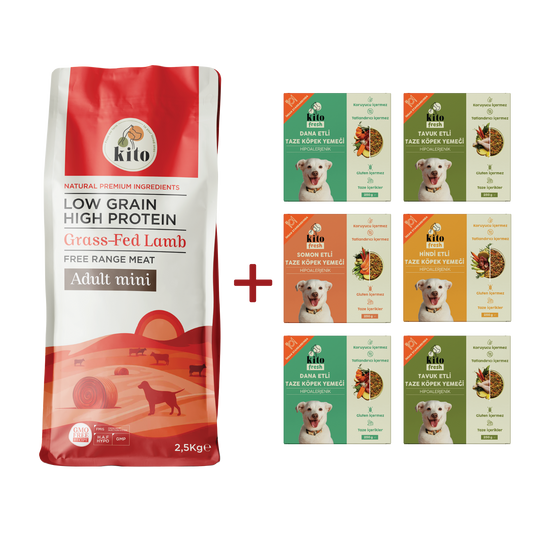 Kuzu Etli Yetişkin Mini Irk Köpek Maması 2.5 KG + Kito Fresh %100 Taze İçerikli Mama Tanışma Paketi
