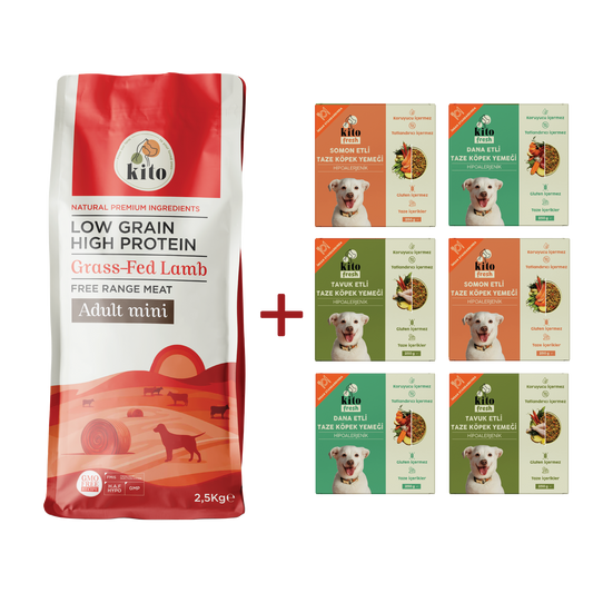 Kuzu Etli Yetişkin Mini Irk Köpek Maması 2.5 KG + Kito Fresh %100 Taze İçerikli Mama Tanışma Paketi