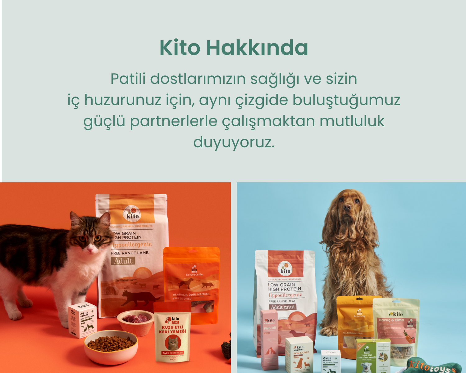 Kito Hakkında Banner