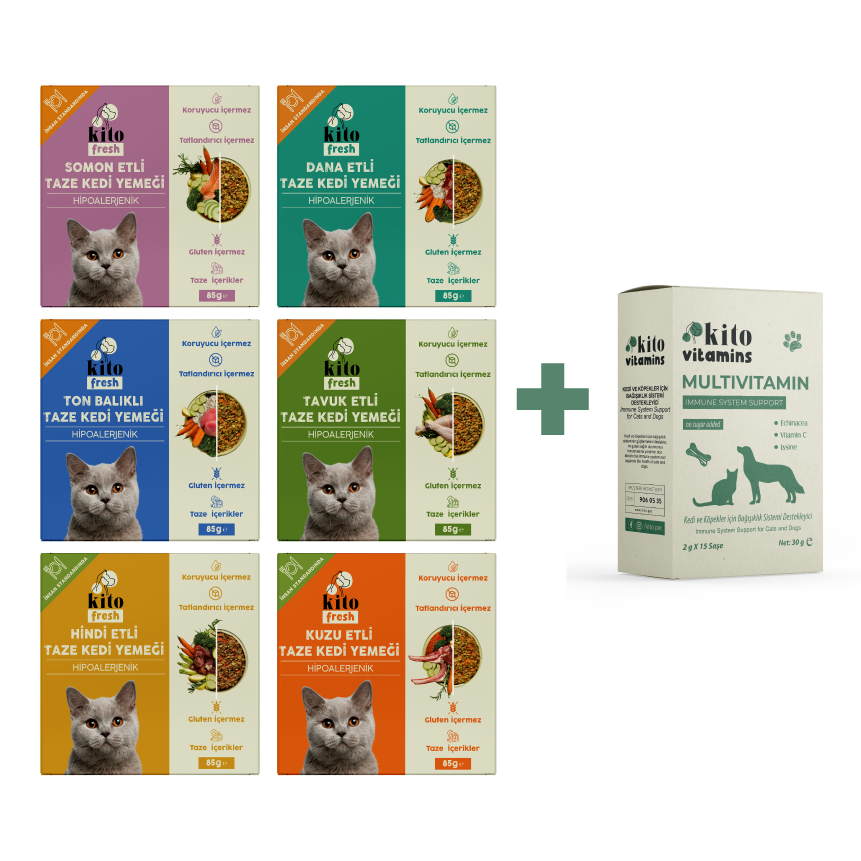 Kediiler İçin Fresh Tanışma ve Multivitamin