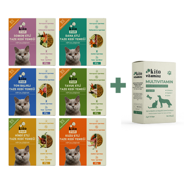 Kediiler İçin Fresh Tanışma ve Multivitamin